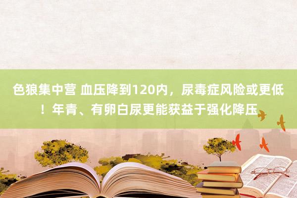 色狼集中营 血压降到120内，尿毒症风险或更低！年青、有卵白尿更能获益于强化降压