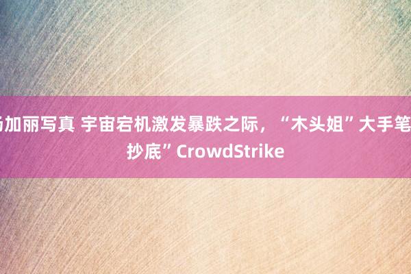 汤加丽写真 宇宙宕机激发暴跌之际，“木头姐”大手笔“抄底”CrowdStrike