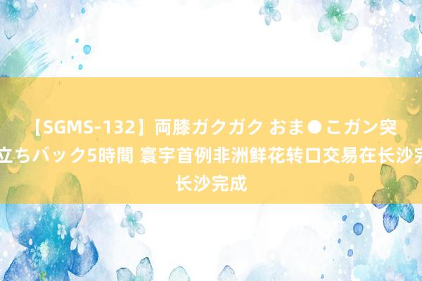 【SGMS-132】両膝ガクガク おま●こガン突き 立ちバック5時間 寰宇首例非洲鲜花转口交易在长沙完成