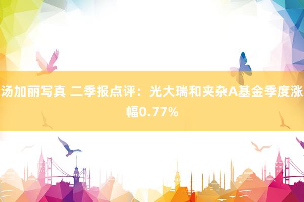 汤加丽写真 二季报点评：光大瑞和夹杂A基金季度涨幅0.77%