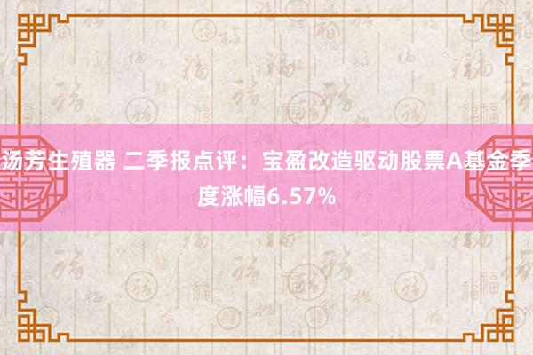 汤芳生殖器 二季报点评：宝盈改造驱动股票A基金季度涨幅6.57%