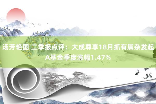 汤芳艳图 二季报点评：大成尊享18月抓有羼杂发起A基金季度涨幅1.47%