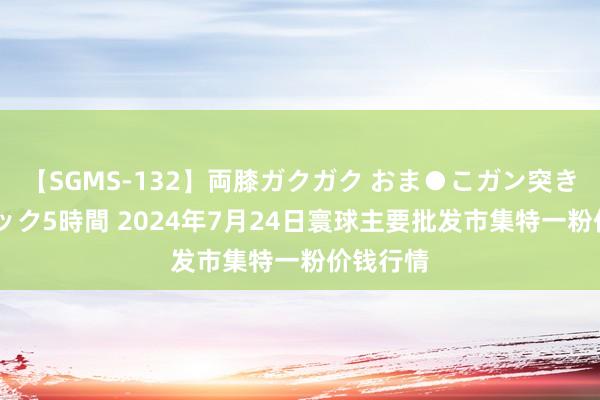 【SGMS-132】両膝ガクガク おま●こガン突き 立ちバック5時間 2024年7月24日寰球主要批发市集特一粉价钱行情