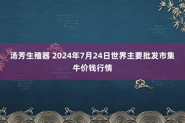 汤芳生殖器 2024年7月24日世界主要批发市集牛价钱行情