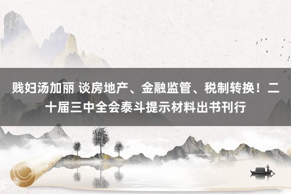 贱妇汤加丽 谈房地产、金融监管、税制转换！二十届三中全会泰斗提示材料出书刊行