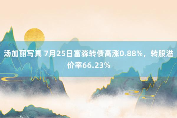 汤加丽写真 7月25日富淼转债高涨0.88%，转股溢价率66.23%