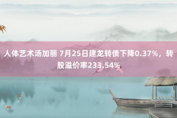 人体艺术汤加丽 7月25日建龙转债下降0.37%，转股溢价率233.54%