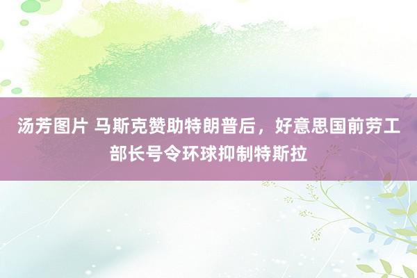 汤芳图片 马斯克赞助特朗普后，好意思国前劳工部长号令环球抑制特斯拉