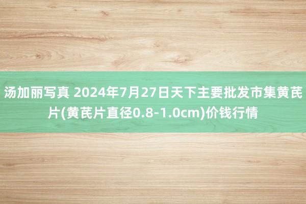 汤加丽写真 2024年7月27日天下主要批发市集黄芪片(黄芪片直径0.8-1.0cm)价钱行情