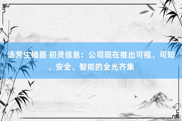 汤芳生殖器 初灵信息：公司现在推出可视、可知、安全、智能的全光齐集