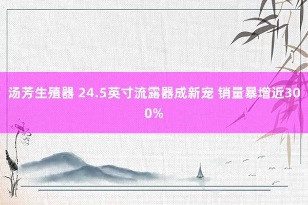 汤芳生殖器 24.5英寸流露器成新宠 销量暴增近300%