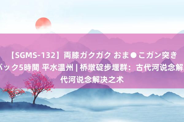 【SGMS-132】両膝ガクガク おま●こガン突き 立ちバック5時間 平水温州 | 桥墩碇步堰群：古代河说念解决之术