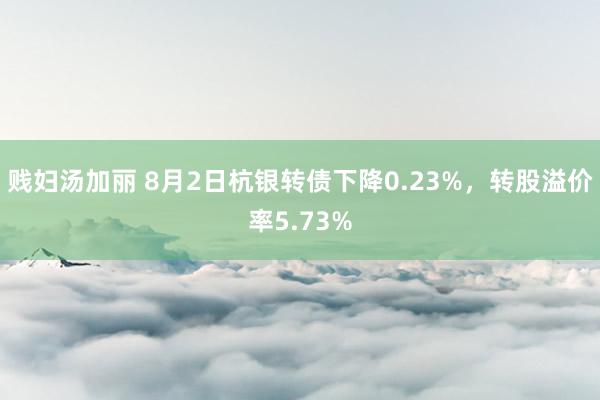 贱妇汤加丽 8月2日杭银转债下降0.23%，转股溢价率5.73%