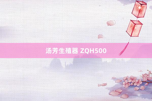 汤芳生殖器 ZQH500