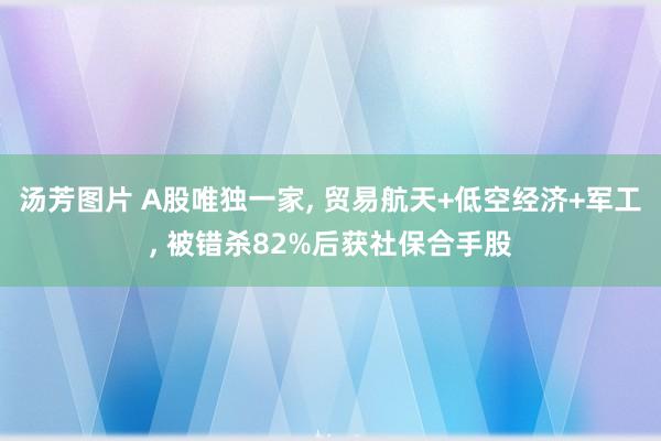 汤芳图片 A股唯独一家， 贸易航天+低空经济+军工， 被错杀82%后获社保合手股