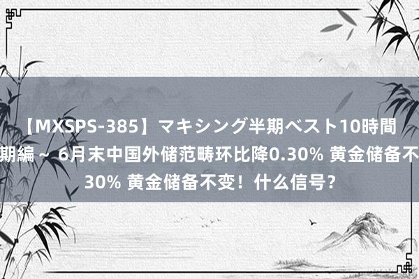 【MXSPS-385】マキシング半期ベスト10時間 ～2014年下半期編～ 6月末中国外储范畴环比降0.30% 黄金储备不变！什么信号？