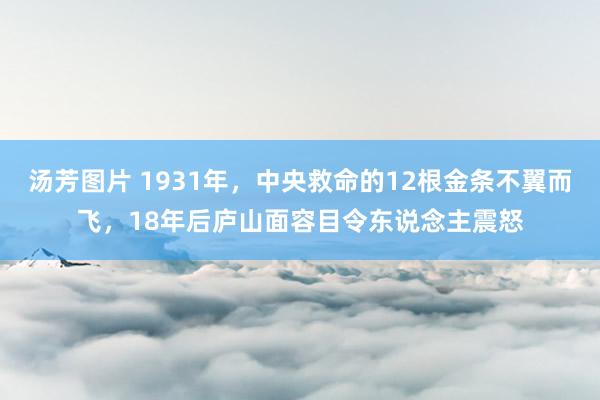 汤芳图片 1931年，中央救命的12根金条不翼而飞，18年后庐山面容目令东说念主震怒