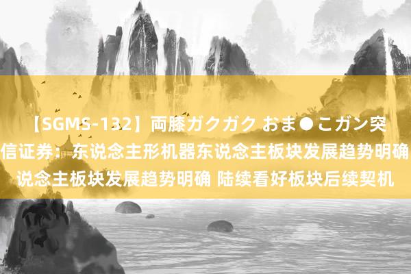 【SGMS-132】両膝ガクガク おま●こガン突き 立ちバック5時間 中信证券：东说念主形机器东说念主板块发展趋势明确 陆续看好板块后续契机