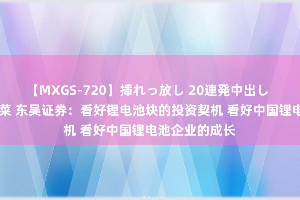 【MXGS-720】挿れっ放し 20連発中出し 人妻女雀士 雪菜 东吴证券：看好锂电池块的投资契机 看好中国锂电池企业的成长