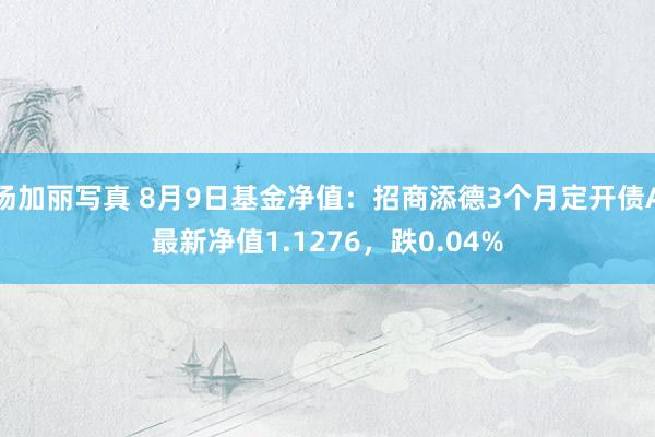 汤加丽写真 8月9日基金净值：招商添德3个月定开债A最新净值1.1276，跌0.04%