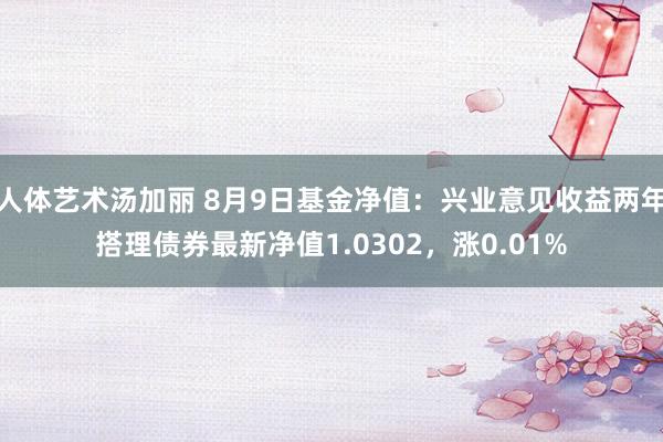 人体艺术汤加丽 8月9日基金净值：兴业意见收益两年搭理债券最新净值1.0302，涨0.01%