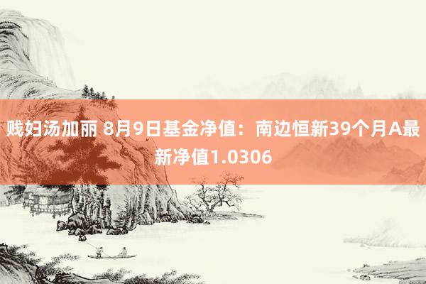 贱妇汤加丽 8月9日基金净值：南边恒新39个月A最新净值1.0306