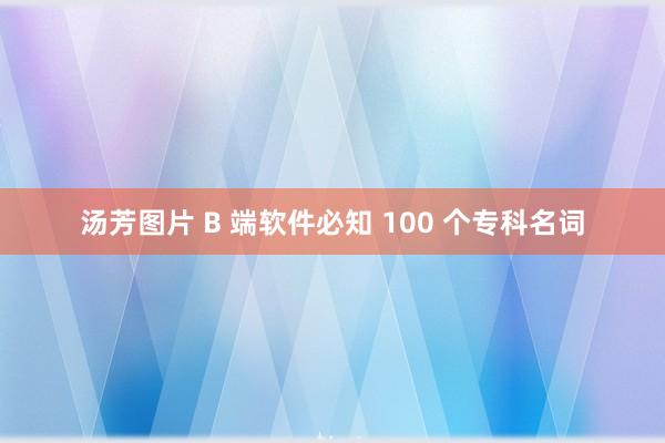 汤芳图片 B 端软件必知 100 个专科名词