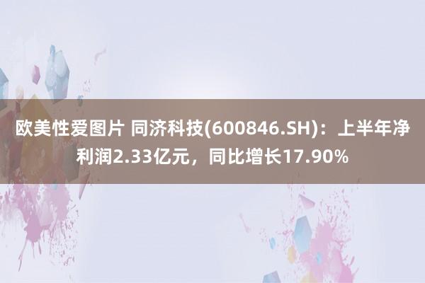 欧美性爱图片 同济科技(600846.SH)：上半年净利润2.33亿元，同比增长17.90%