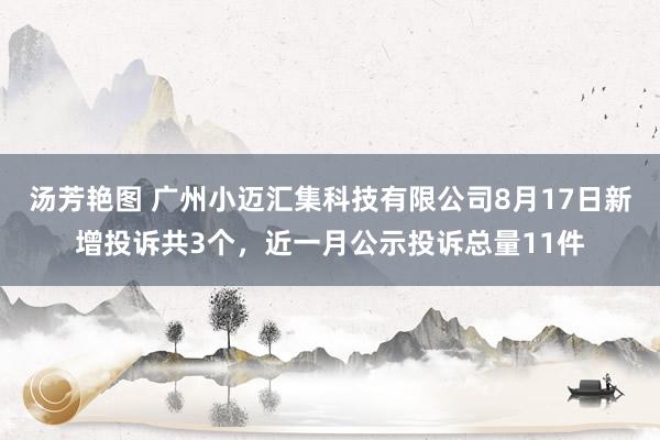 汤芳艳图 广州小迈汇集科技有限公司8月17日新增投诉共3个，近一月公示投诉总量11件