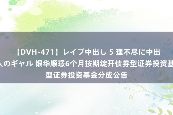 【DVH-471】レイプ中出し 5 理不尽に中出しされた7人のギャル 银华顺璟6个月按期绽开债券型证券投资基金分成公告