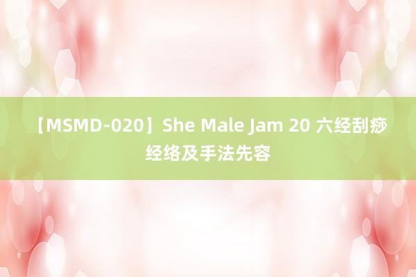 【MSMD-020】She Male Jam 20 六经刮痧经络及手法先容