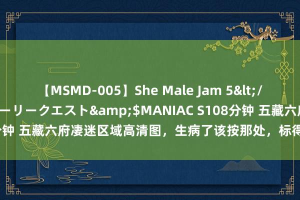 【MSMD-005】She Male Jam 5</a>2008-08-04グローリークエスト&$MANIAC S108分钟 五藏六府凄迷区域高清图，生病了该按那处，标得一清二楚，超实用