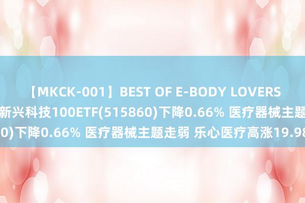 【MKCK-001】BEST OF E-BODY LOVERS 2008 ETF最前哨 | 嘉实新兴科技100ETF(515860)下降0.66% 医疗器械主题走弱 乐心医疗高涨19.98%