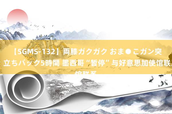 【SGMS-132】両膝ガクガク おま●こガン突き 立ちバック5時間 墨西哥“暂停”与好意思加使馆联系