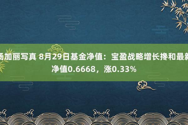 汤加丽写真 8月29日基金净值：宝盈战略增长搀和最新净值0.6668，涨0.33%