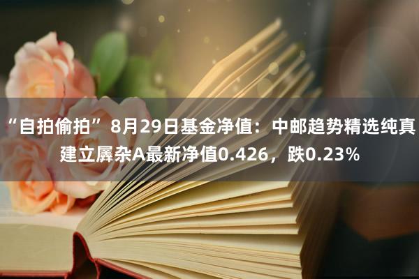 “自拍偷拍” 8月29日基金净值：中邮趋势精选纯真建立羼杂A最新净值0.426，跌0.23%