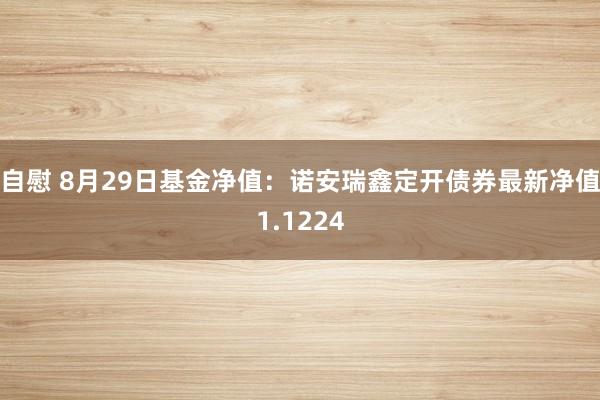 自慰 8月29日基金净值：诺安瑞鑫定开债券最新净值1.1224