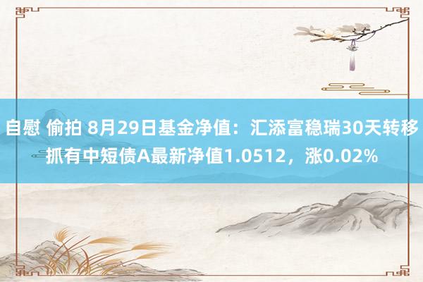 自慰 偷拍 8月29日基金净值：汇添富稳瑞30天转移抓有中短债A最新净值1.0512，涨0.02%