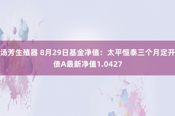 汤芳生殖器 8月29日基金净值：太平恒泰三个月定开债A最新净值1.0427