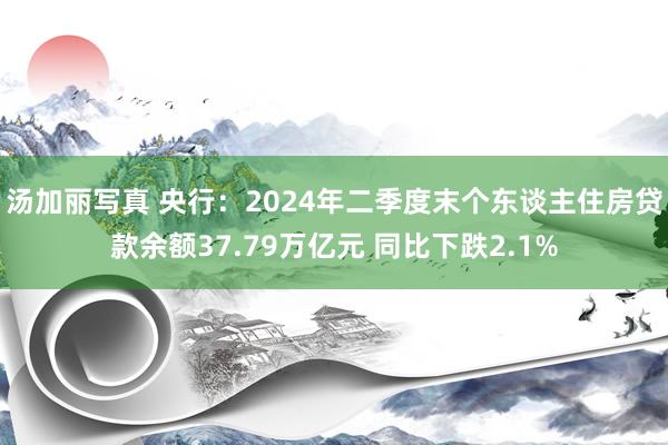 汤加丽写真 央行：2024年二季度末个东谈主住房贷款余额37.79万亿元 同比下跌2.1%