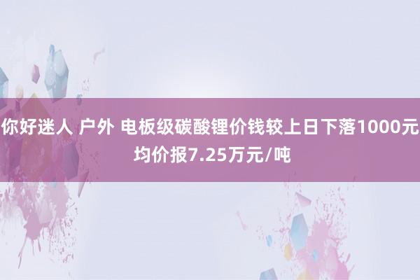 你好迷人 户外 电板级碳酸锂价钱较上日下落1000元 均价报7.25万元/吨