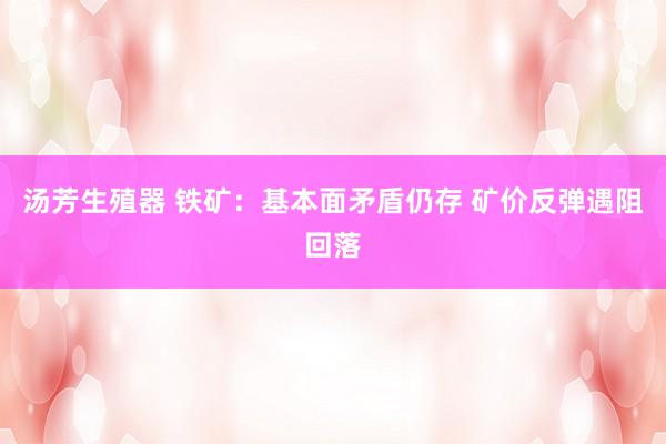 汤芳生殖器 铁矿：基本面矛盾仍存 矿价反弹遇阻回落