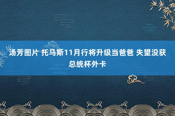 汤芳图片 托马斯11月行将升级当爸爸 失望没获总统杯外卡