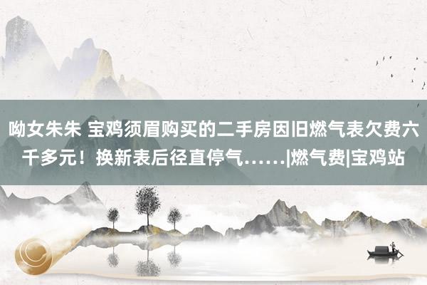 呦女朱朱 宝鸡须眉购买的二手房因旧燃气表欠费六千多元！换新表后径直停气……|燃气费|宝鸡站