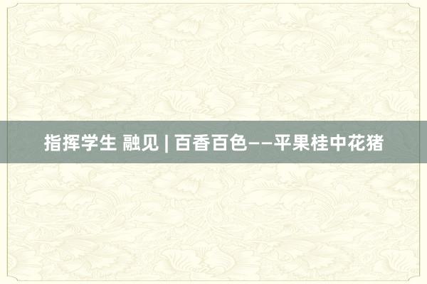 指挥学生 融见 | 百香百色——平果桂中花猪