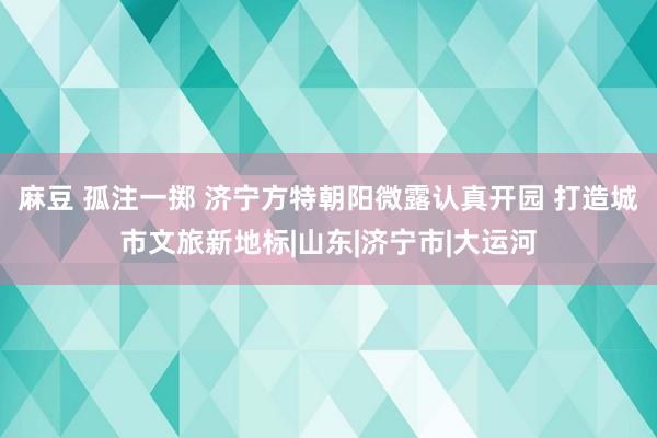 麻豆 孤注一掷 济宁方特朝阳微露认真开园 打造城市文旅新地标|山东|济宁市|大运河