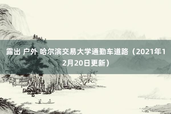 露出 户外 哈尔滨交易大学通勤车道路（2021年12月20日更新）