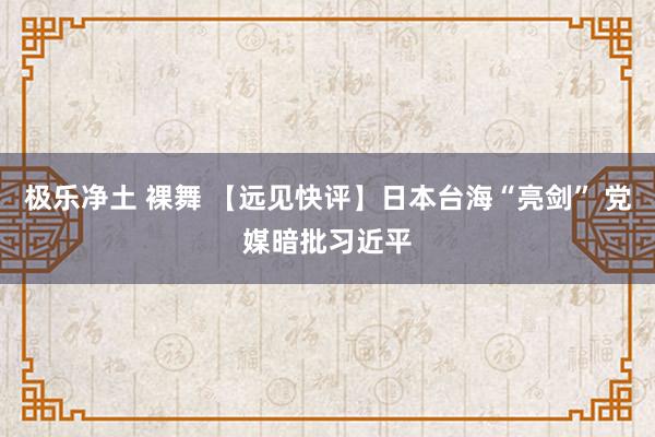 极乐净土 裸舞 【远见快评】日本台海“亮剑” 党媒暗批习近平