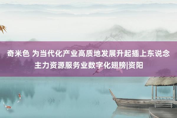 奇米色 为当代化产业高质地发展升起插上东说念主力资源服务业数字化翅膀|资阳