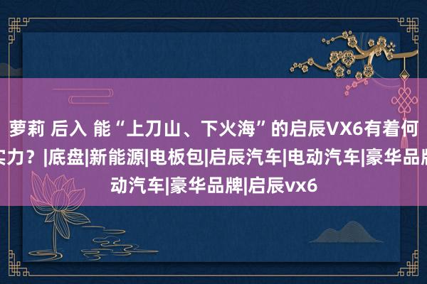 萝莉 后入 能“上刀山、下火海”的启辰VX6有着何如的安全实力？|底盘|新能源|电板包|启辰汽车|电动汽车|豪华品牌|启辰vx6